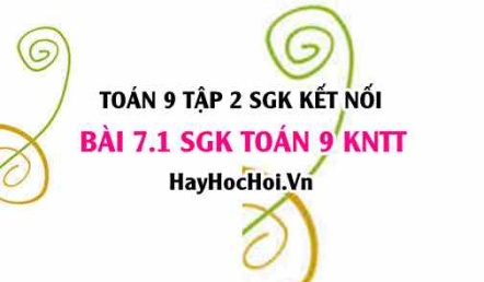 Bài 7.1 SGK Toán 9 tập 2 Kết nối tri thức